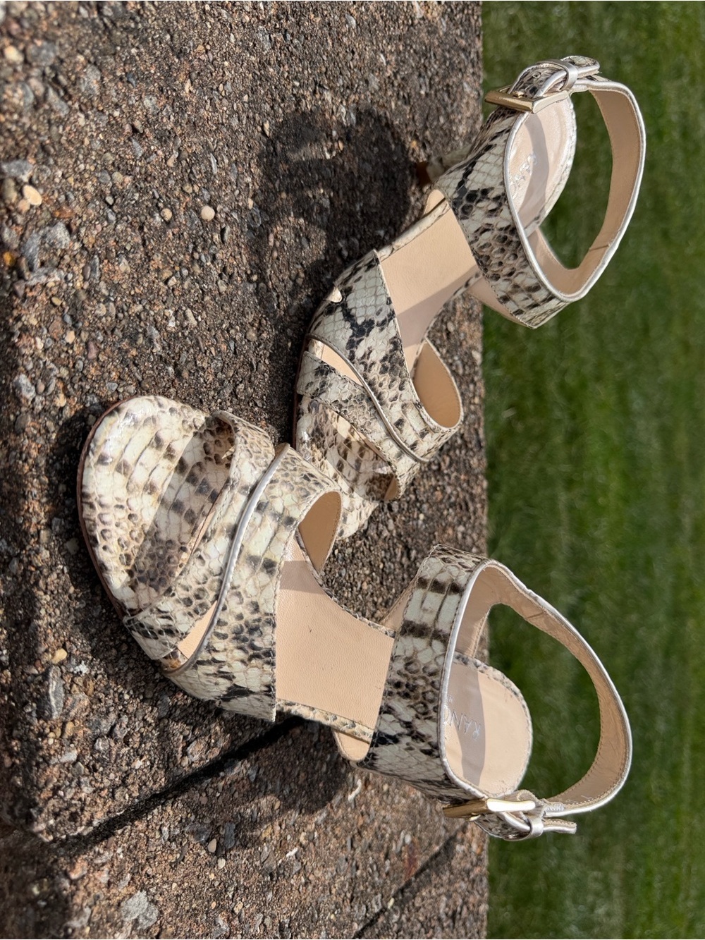 Rangoni Snake-Print Ankle Strap Heels in Beige and Cream